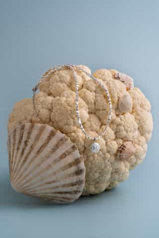 Necklace on Cauliflower with Seashells