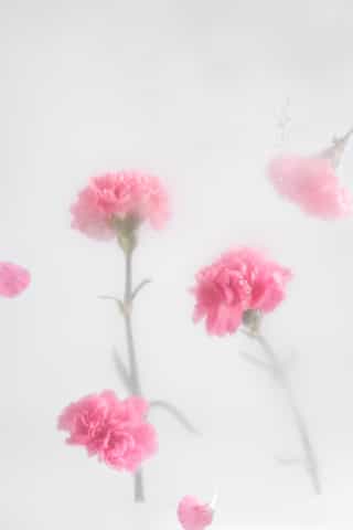 Tenderness
