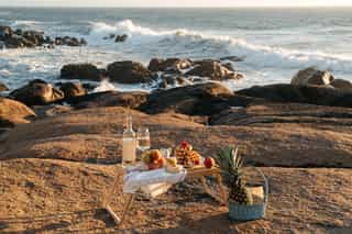 Picnic near the ocean